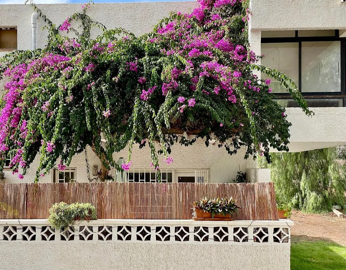 Casa Zoltan Apartment Costa Del Silencio